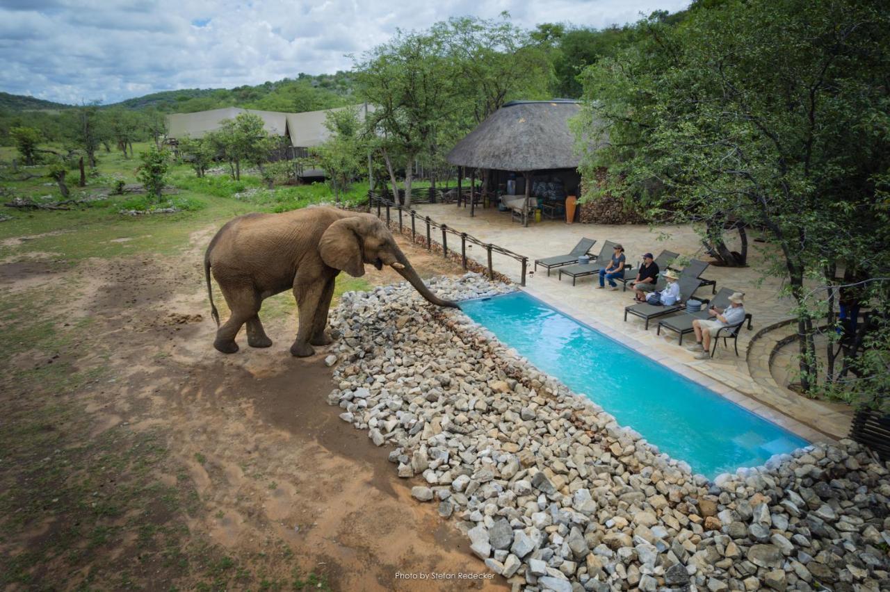 אוקאוקוג'ו Ongava Tented Camp מראה חיצוני תמונה