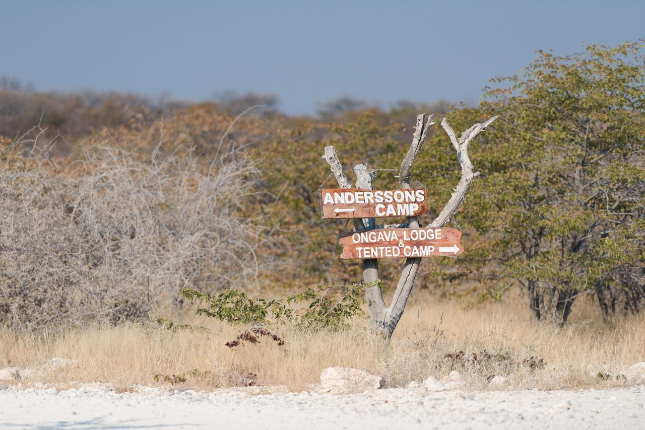 אוקאוקוג'ו Ongava Tented Camp מראה חיצוני תמונה